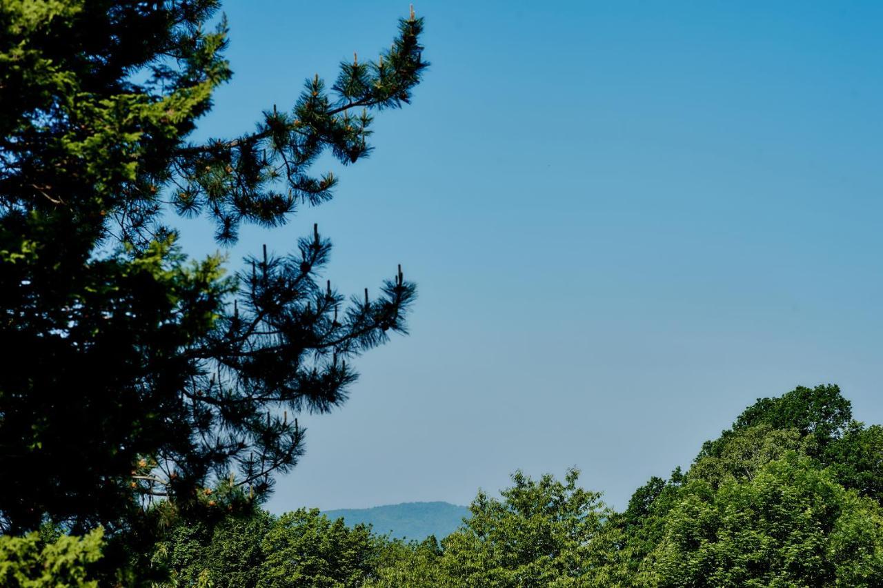 Pokoje U Anny Ustroń Exteriör bild